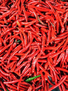 Red Chilli