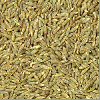 Cumin Seeds